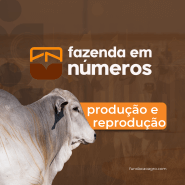 Curso Fazenda em Números - Produção e Reprodução