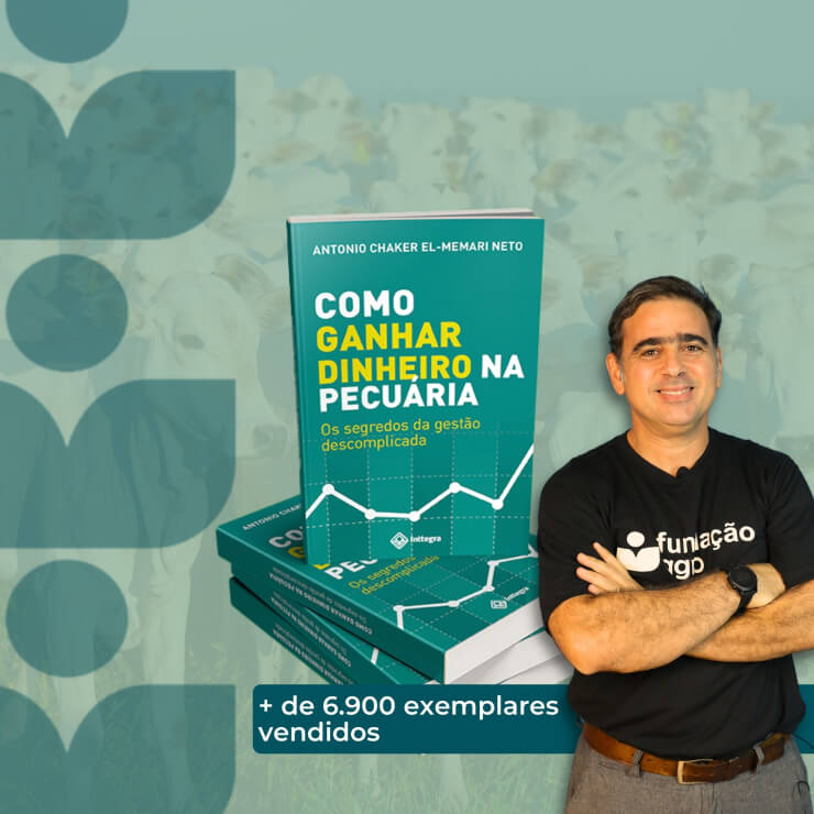 Como ganhar dinheiro fácil em Boituva - Engenho Contabilidade